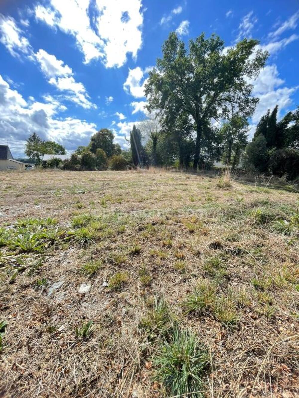 Vente Terrain Belle opportunité ! Terrain de 1 606 m² avec large façade PLOERMEL (56) Ploermel