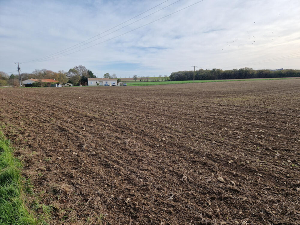 Vente Terrain Terrain à vendre  CHANTEMERLE SUR LA SOIE (17) Chantemerle sur la soie