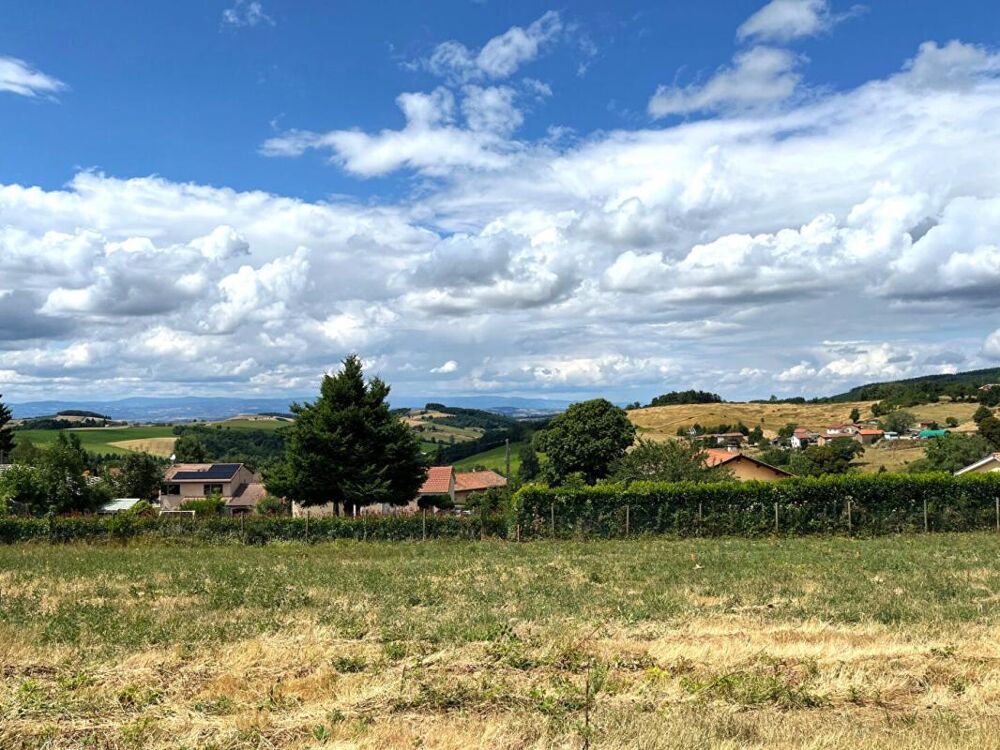 Vente Terrain Terrain viabilisé avec belle vue dégagée Violay
