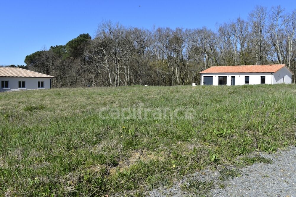 Vente Terrain Terrain 1 000 m² à CURSAN (33) Cursan