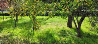  Terrain � vendre 3372 m�