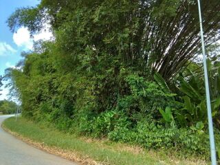  Terrain  vendre 4262 m