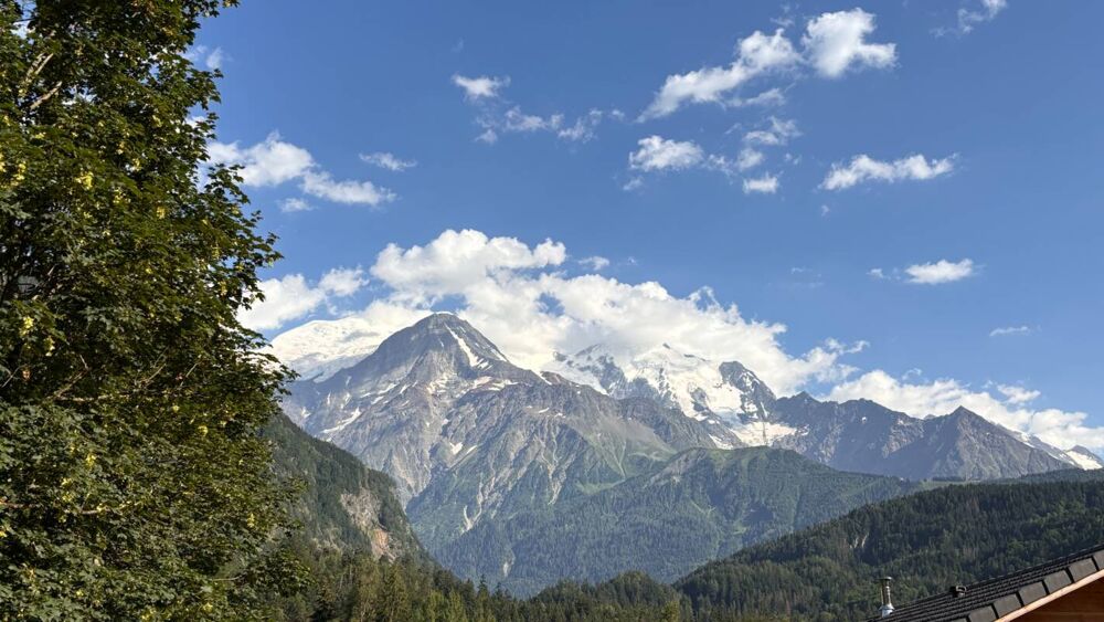 � vendre  Chalet Les Houches (74310)