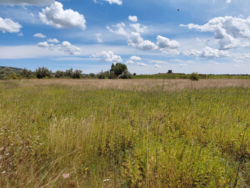 Vente Terrain Terrain de 6 640m2 avec chênes truffiers Saint hilaire d ozilhan
