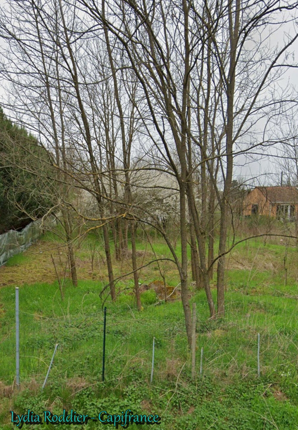 Vente Terrain Terrain plat clôturé et arboré 1415 m2 à Puy-Guillaume-63290 Puy guillaume