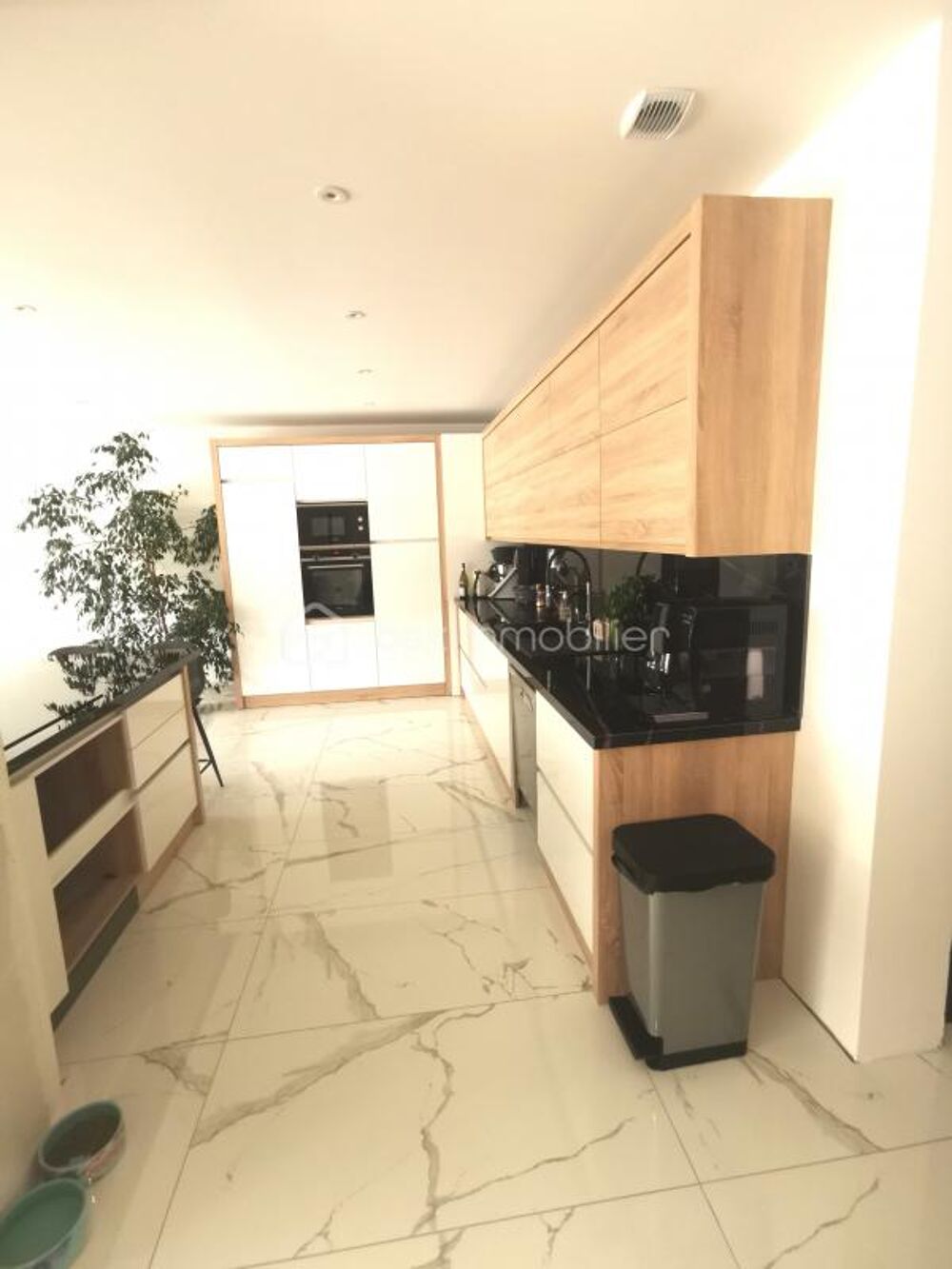 Vente Duplex/Triplex loft en duplex de 160 m avec terrasse de 60 m Morez