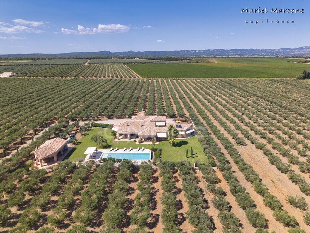 Propriété dexception de 290 m2 au coeur de la Vallée des Baux-de-Provence sur 25 hectares 7 pièces MOULES (13)