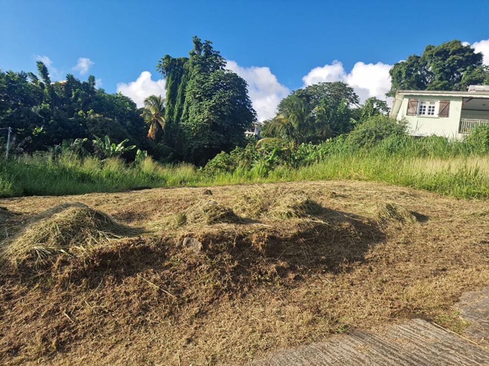 Vente Terrain Terrain-Schoelcher-Terreville Schoelcher