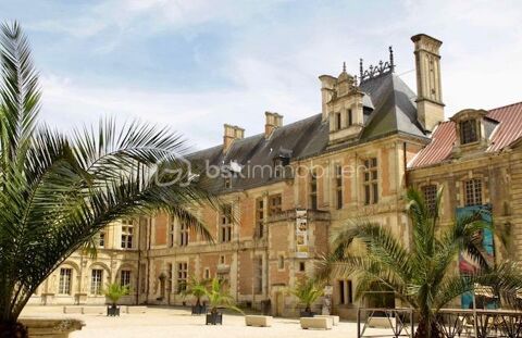 Opportunit&eacute; au coeur du centre-ville !! 170000 89100 Sens