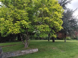  Maison � vendre 5 pi�ces 98 m�