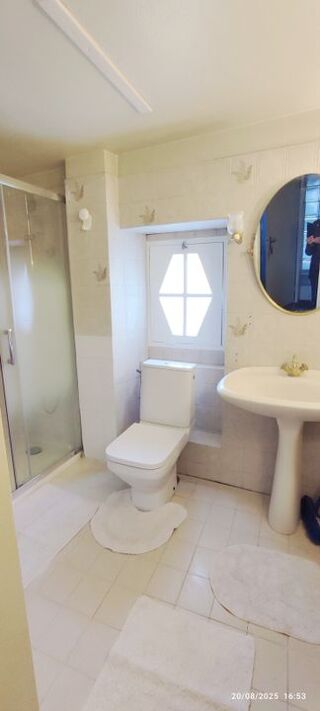  Appartement à louer 1 pièce 20 m²
