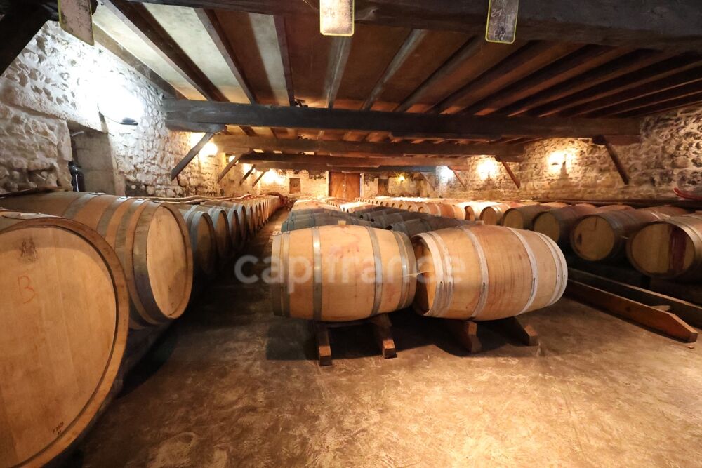 à vendre  Propriété/château Saint-Yzans-de-Médoc (33340)