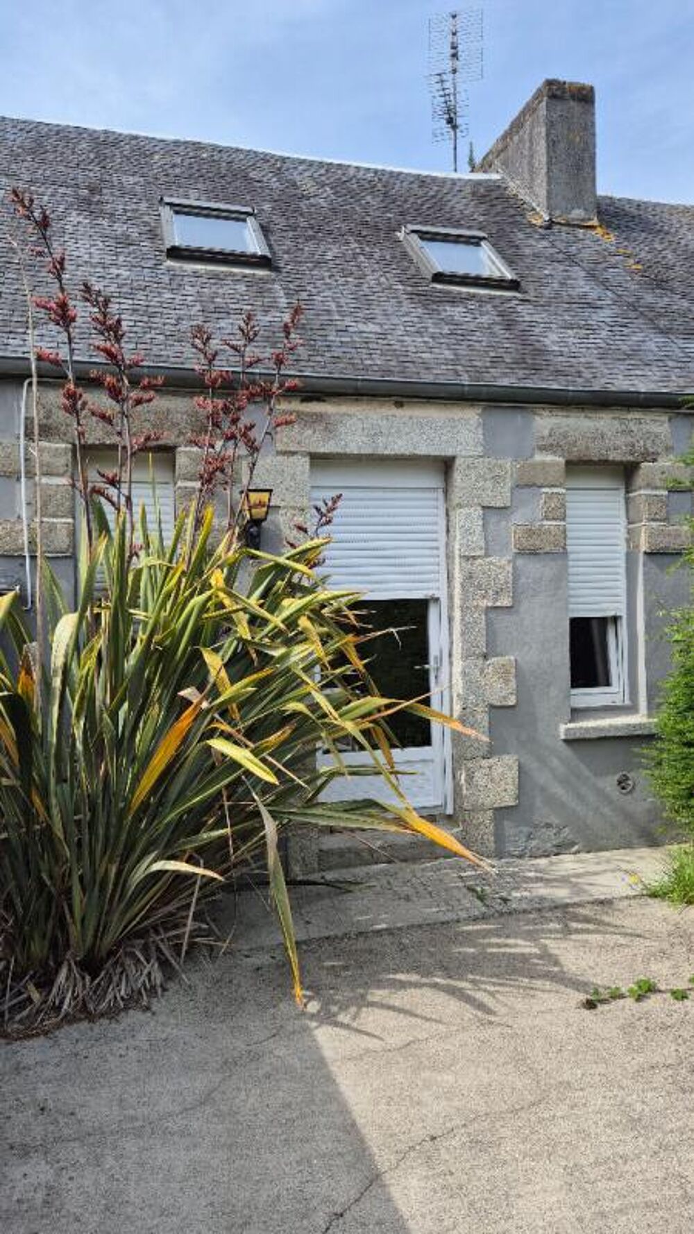 Vente Maison Longère de 4 logements 8 chambres Morlaix