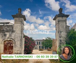  Propri�t�/ch�teau � vendre 15 + pi�ces 436 m�