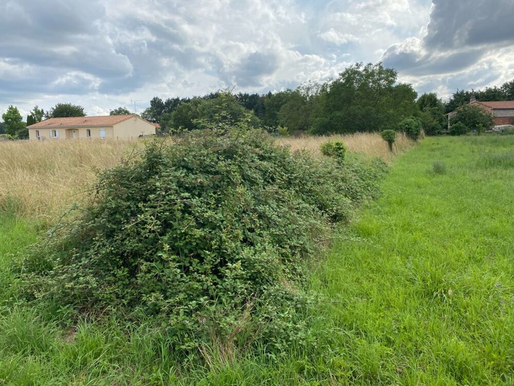 Vente Terrain Dpt Charente (16),  vendre CHAZELLES terrain Chazelles