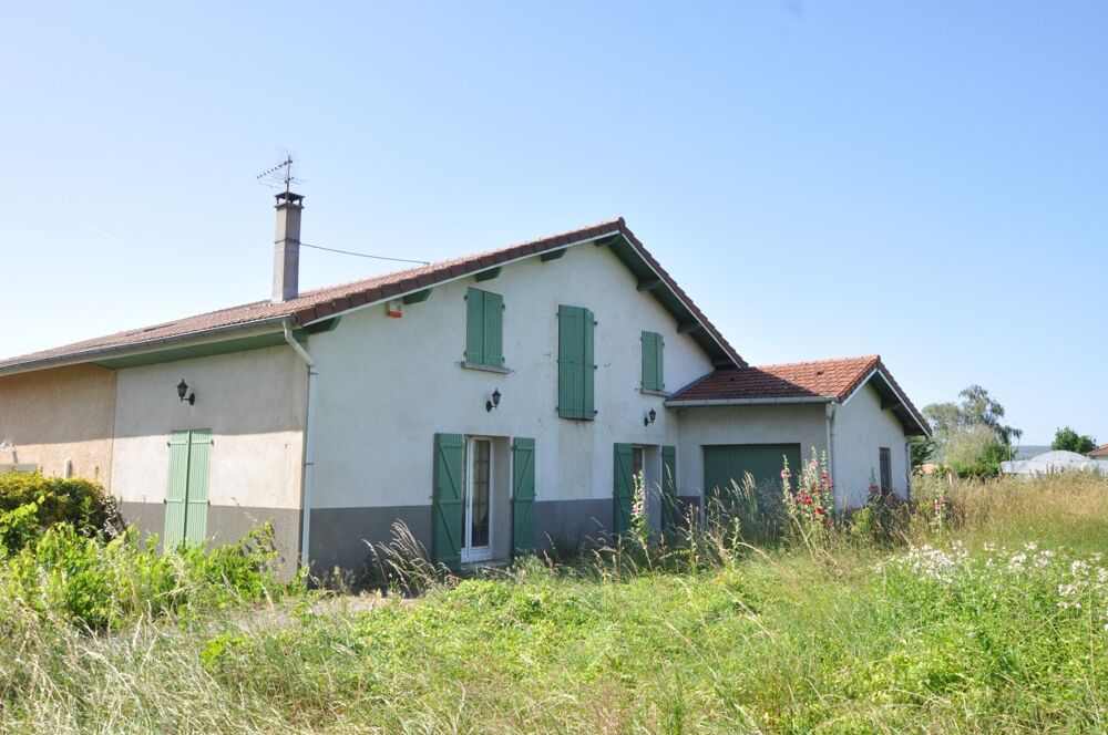 Vente Maison Maison  louée . Locataire sérieux Revel tourdan