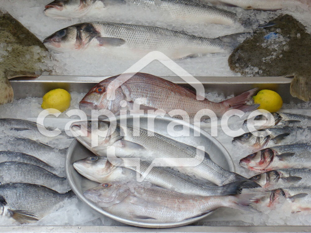  FINISTERE SUD (29) POISSONNERIE AMBULANTE 4 MARCHES HEBDO 