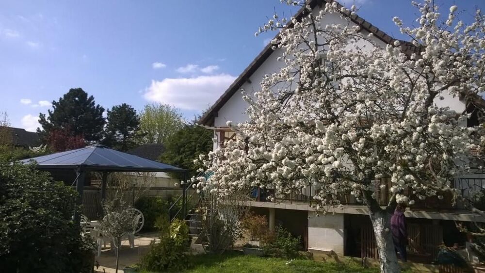 Location Appartement Chambre de 18m2 à louer sur Les Mureaux Les mureaux