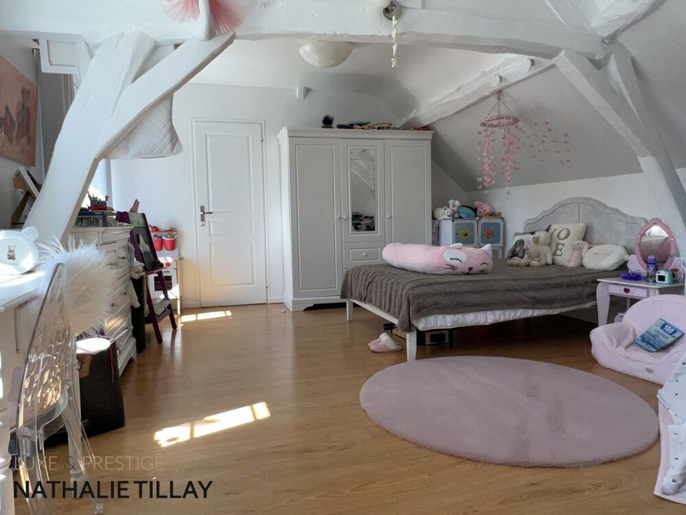 à vendre  Propriété/château Orléans (45000)