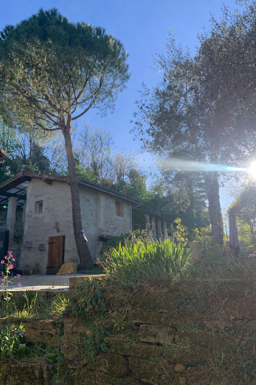 Vente Maison Claveyson (Drôme) – Propriété du XVIe siècle avec chambres d'hôtes et jardin d'exception Claveyson
