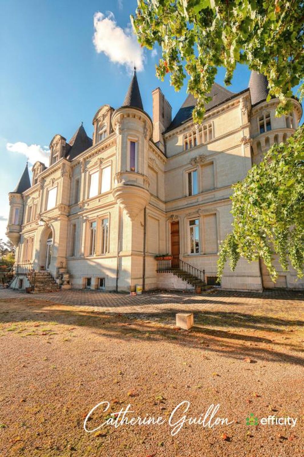 Vente Propriété/Château Château Ingrandes