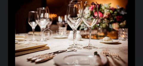 Brasserie Restauration 265000 06210 Mandelieu la napoule