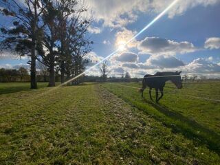  Maison � vendre 5 pi�ces 160 m�