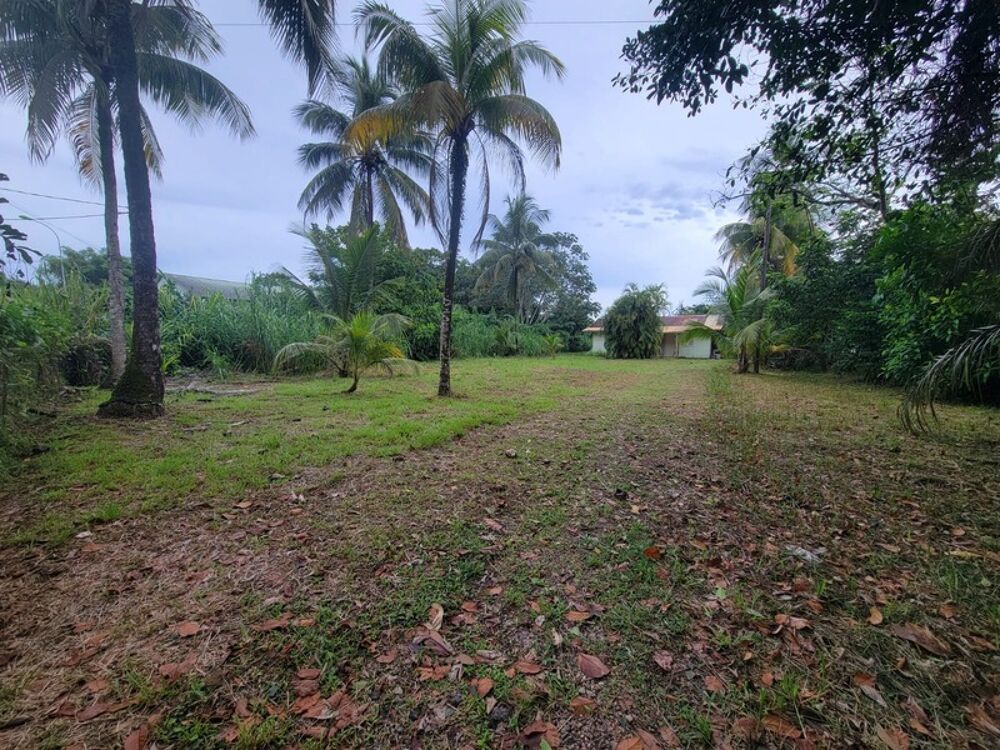 Vente Terrain Terrain de 1 702 m² avec maison T4 – Rémire-Montjoly Remire montjoly