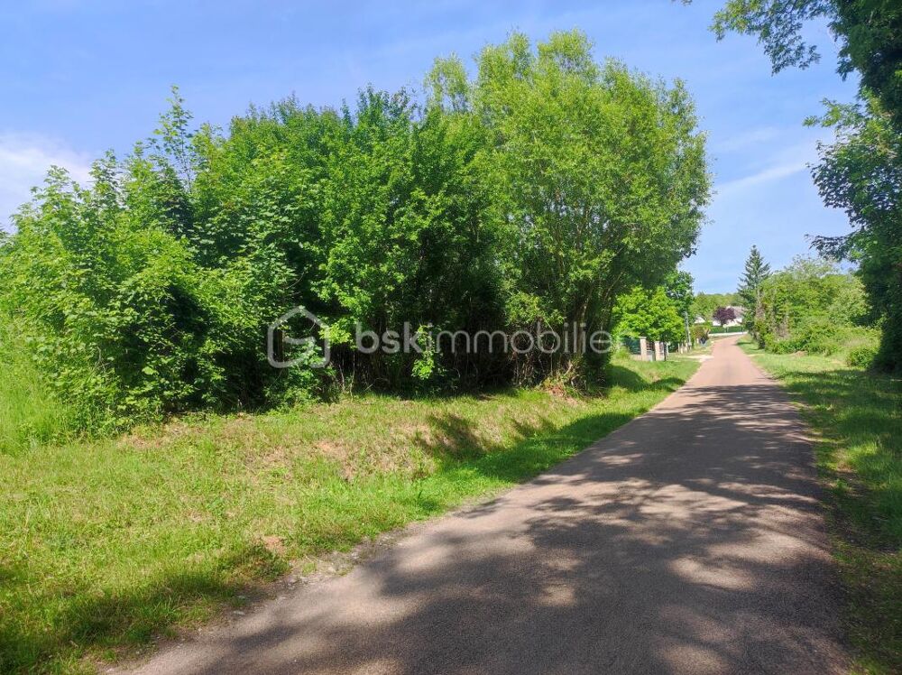 Vente Terrain ? Terrain constructible de 2 530 m² – Nature, calme et potentiel Saint florentin