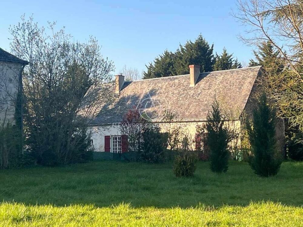 � vendre  Propri�t�/ch�teau Ch�teau-la-Valli�re (37330)