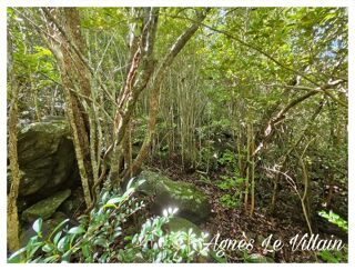  Terrain à vendre 2382 m²