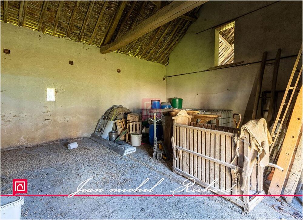 Vente Propriété/Château Propriété de chasse Sologne 42 hectares Gy en sologne