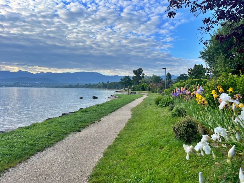 appartement à vendre 3 pièces EXCENEVEX (74), rez de jardin 95m² cave et parkings, à 5 minutes à pied du lac