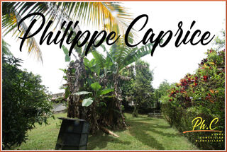  Maison � vendre 15 + pi�ces 443 m�