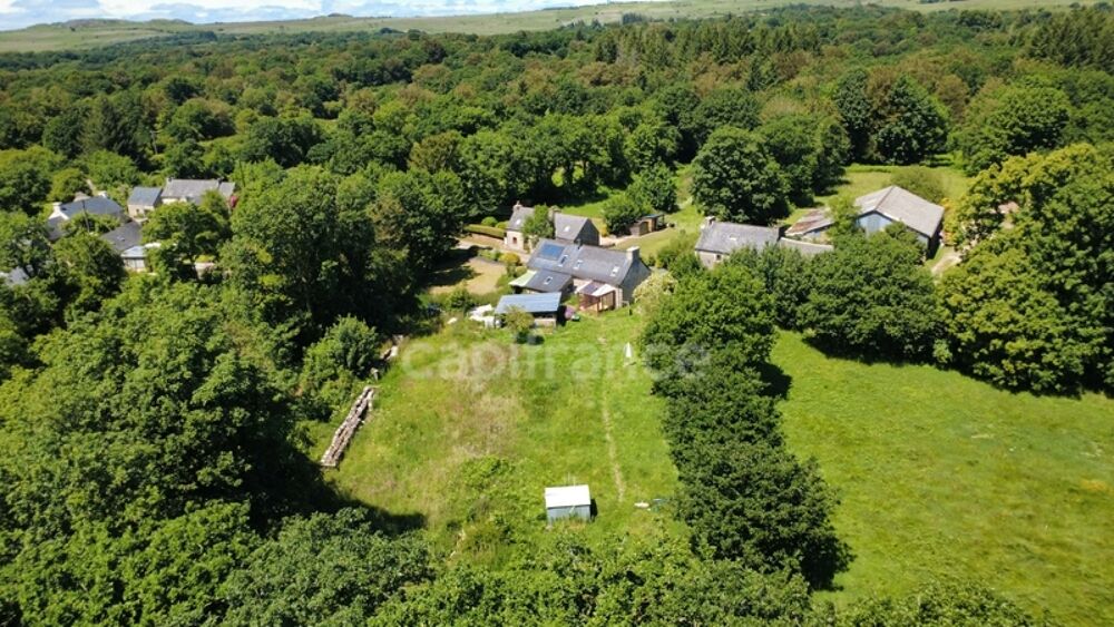 Maison en pierre  2 500 m² de terrain  Calme absolu et nature