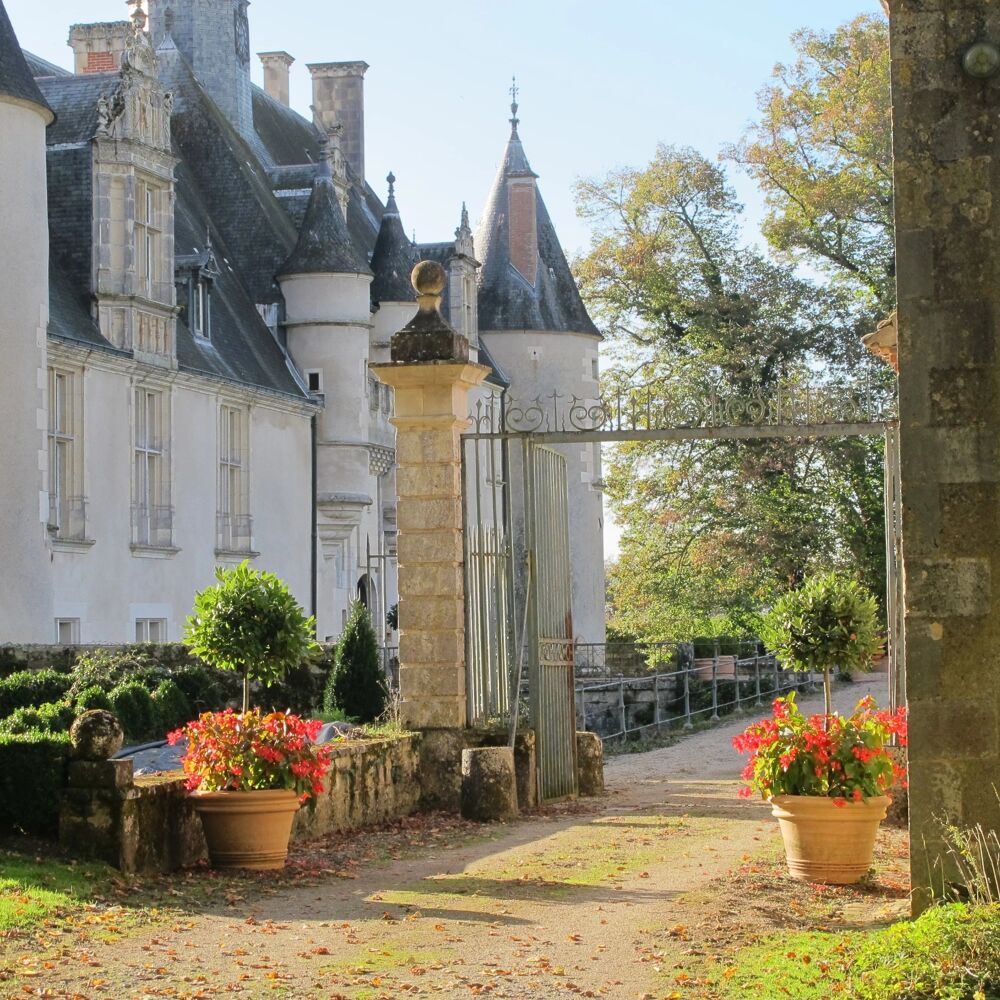 Vente Propriété/Château Magnifique château renaissance 43 pièces, nombreuses et remarquables dépendances, 24 hectares de bois et parc d'agrément Saint florent sur cher