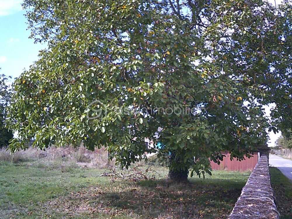 Vente Terrain 86380 SAINT MARTIN LA PALLU Terrain de 685 m2 Vendeuvre du poitou