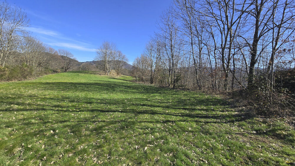 Vente Terrain Terrains constructibles de 15 964,00 m² SAINT CIERGE SOUS LE CHEYLARD (07) Saint cierge sous le cheylard