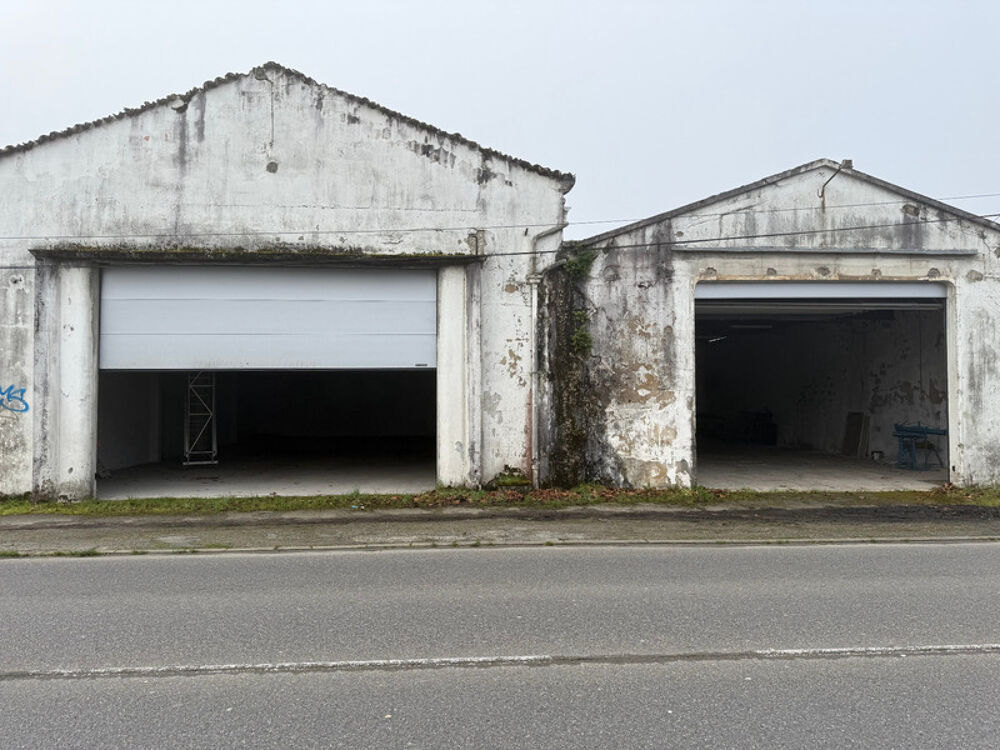   PEYREHORADE LOCAL / ENTREPÔT / BUREAU SUR AXE ULTRA- PASSANT Peyrehorade