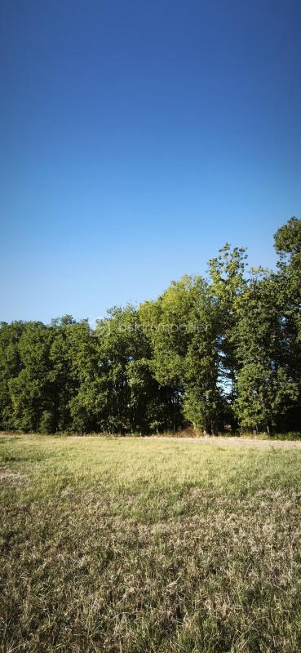 Vente Terrain TERRAIN CONSTRUCTIBLE ET VIABILISE DE 864 M2 PROCHE DE MONCLAR DE QUERCY Montdurausse