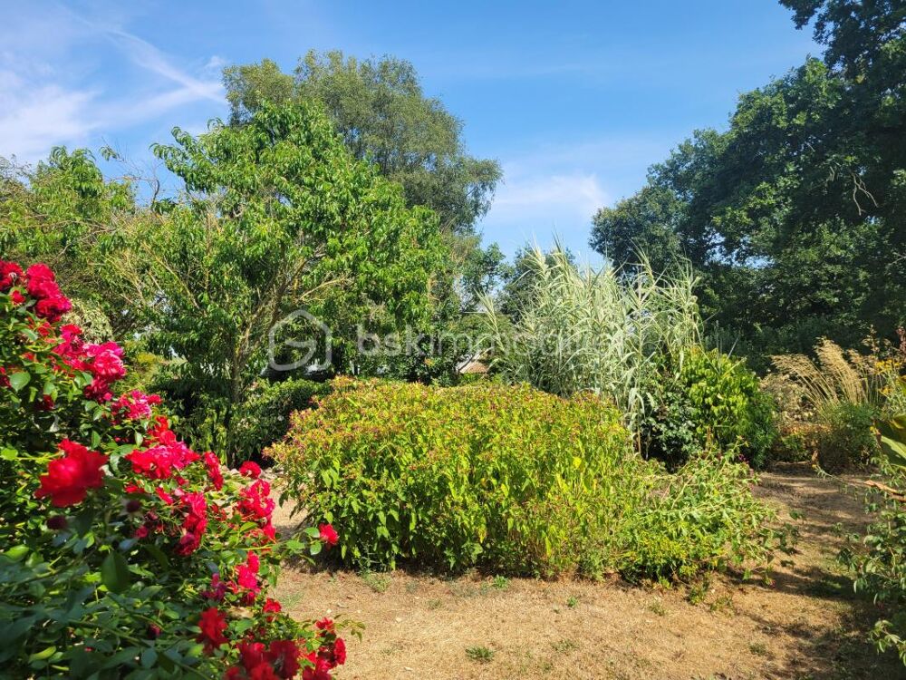 Vente : Maison en pierre avec vue sur la campagne, la nature - terrain de 2924 m² avec ses dépendances et son jardin nourricier