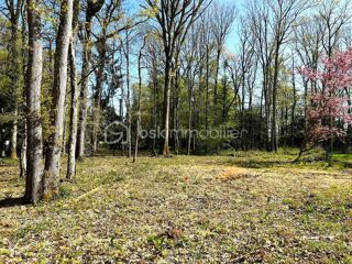  Terrain à vendre 2320 m²
