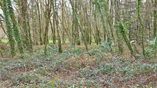 Terrain à vendre 1676 m²