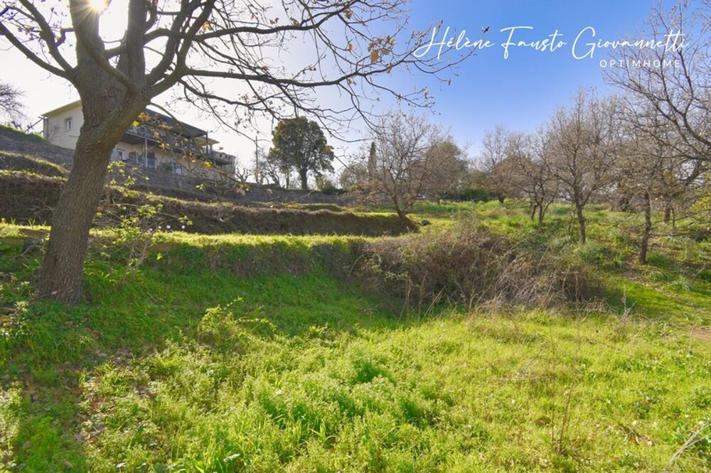 Vente Terrain TERRAIN CONSTRUCTIBLE 1984 m2 à RAPALE Rapale