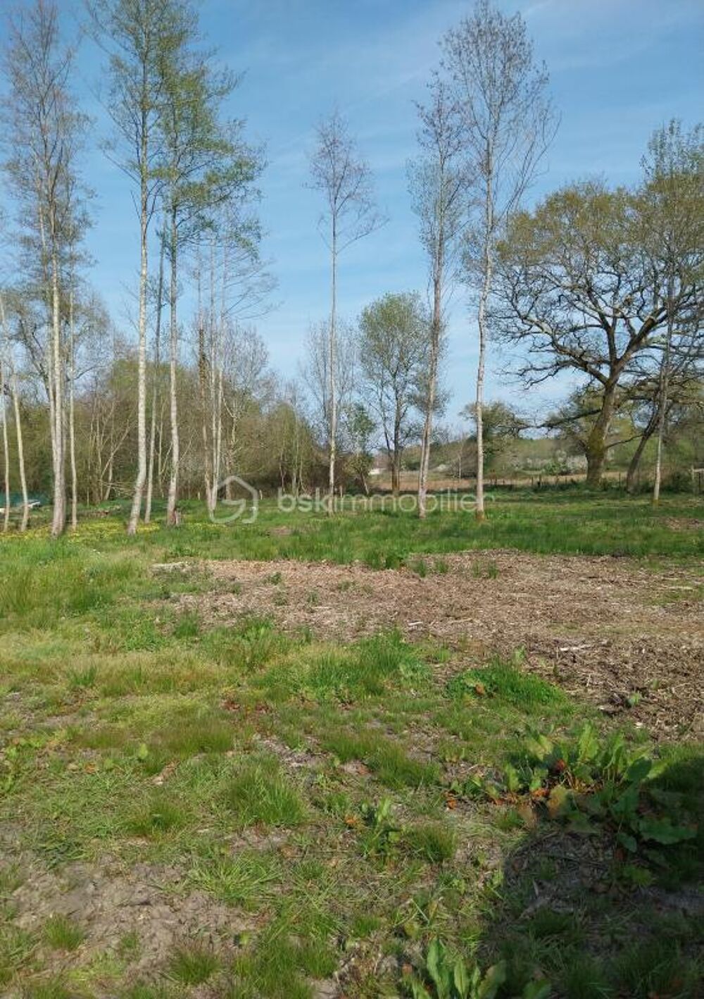 Vente Terrain Terrain constructible Montendre