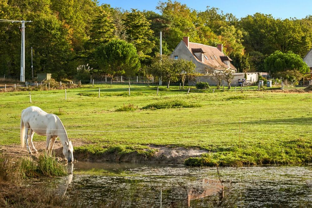 Vente Maison Domaine agricole & équestre de 15 hectares  À proximité de Saint-Amand-Montrond Faverdines