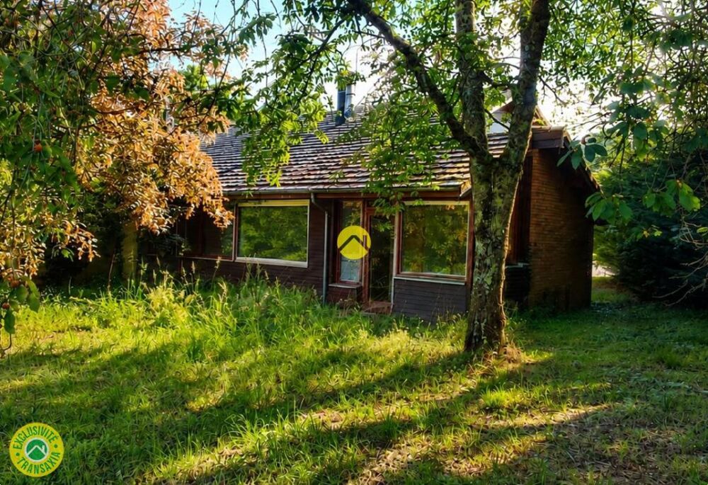 Vente Maison Une RARETE à ce PRIX Levet