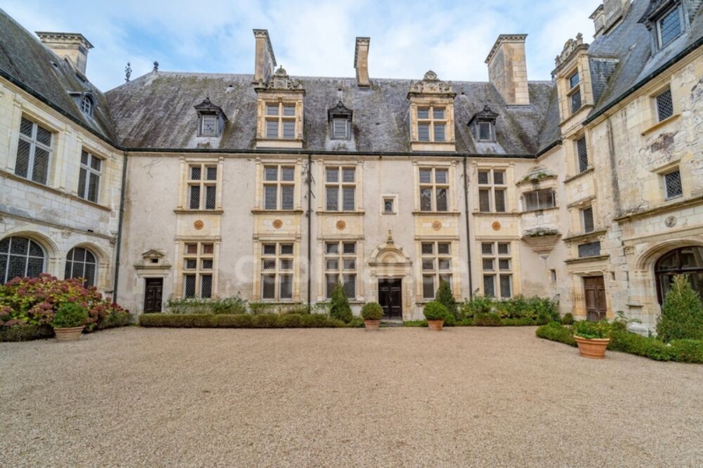 Vente Propriété/Château Magnifique château renaissance 43 pièces, nombreuses et remarquables dépendances, 24 hectares de bois et parc d'agrément Saint florent sur cher