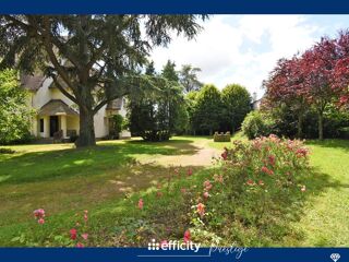  Maison à vendre 15 + pièces 450 m²