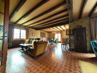  Propri�t�/ch�teau � vendre 10 pi�ces 300 m�